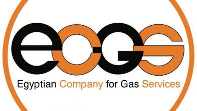 الشركة المصرية لخدمات الغاز