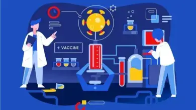 التكسير الحفزي في تكنولوجيا البتروكيماويات