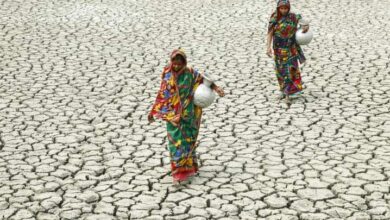 دور المرأة في الحد من التغيرات المناخية