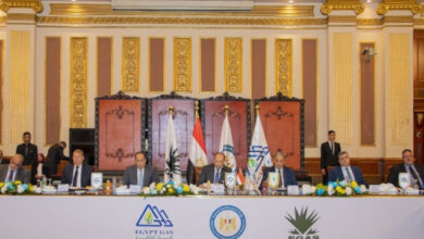 الجمعية العامة لشركة غاز مصر