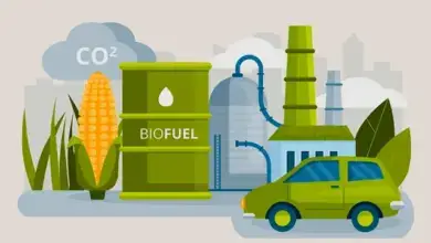 طرق إنتاج الغاز الحيوي