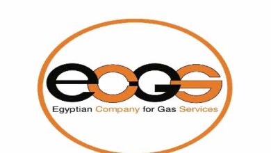 الشركة المصرية لخدمات الغاز