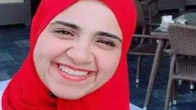 الماجستير المهني