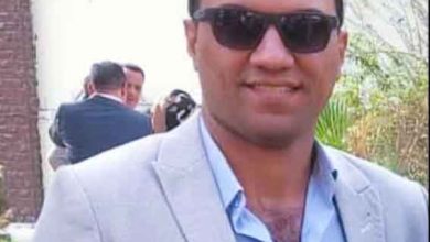 الماجستير المهني