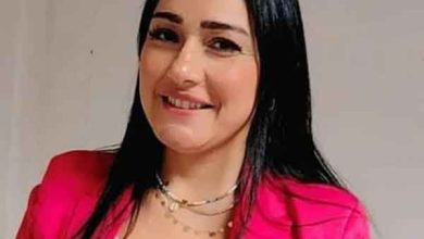 الماجستير المهني