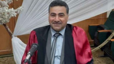 الماجستير المهني