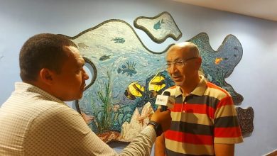 بطولة الشركات