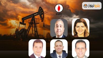 هيئة البترول