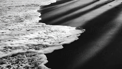 مشروع الرمال السوداء بالبرلس