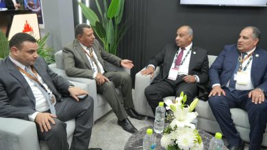 جنوب الوادي القابضة