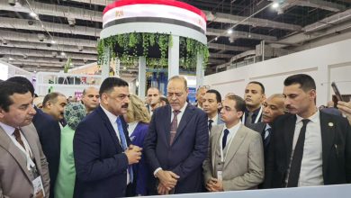 الثروة المعدنية