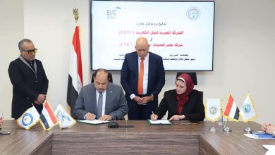 مصر للصيانة