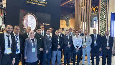 البتروكيماويات المصرية