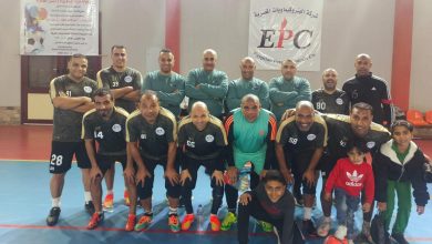 البتروكيماويات المصرية