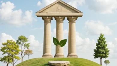 أبعاد التنمية المستدامة