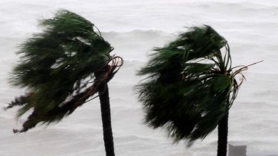 الأرصاد الجوية