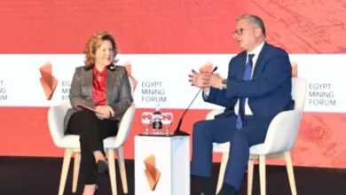 وزير البترول : الدولة حريصة على تهيئة مناخ جاذب للمستثمرين للعمل في قطاع التعدين