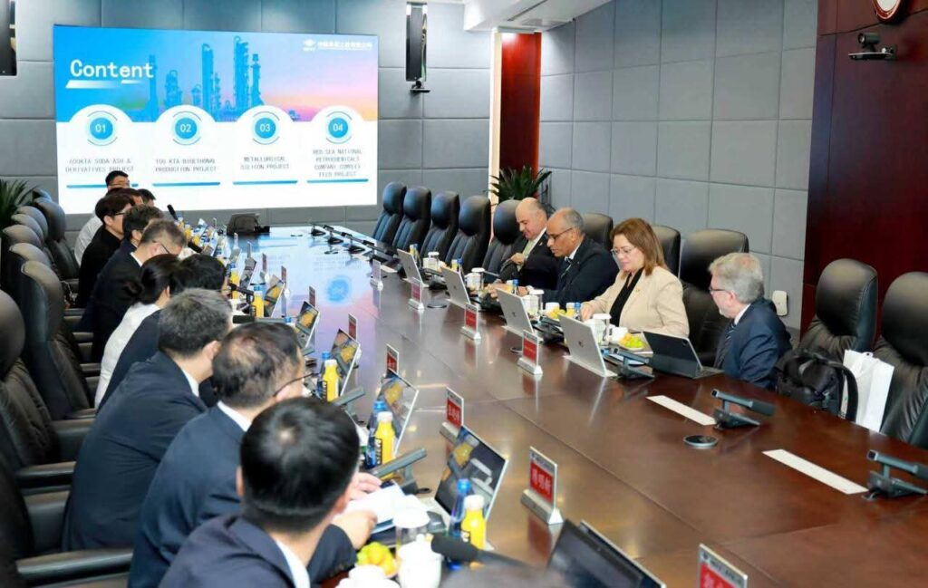 المشروعات البتروكيماوية 