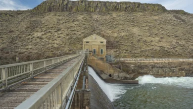 5 معلومات أساسية عن احتياطات الفوسفات في مصر