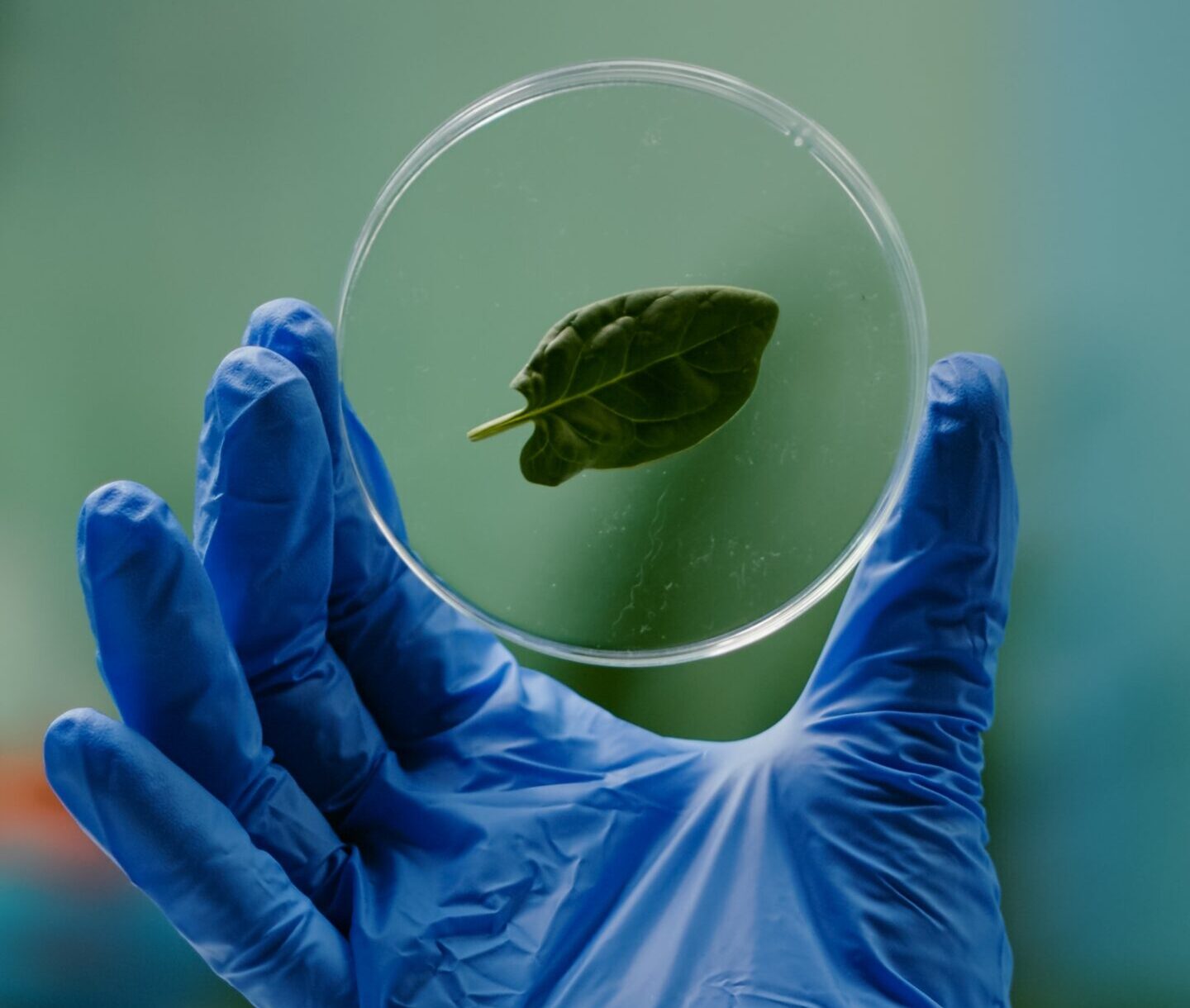 تقليل البصمة الكربونية في صناعة البولي إيثيلين