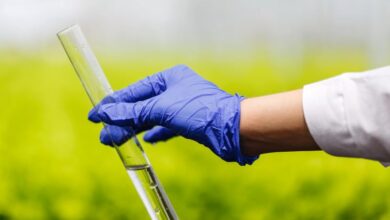 استخدام البولي إيثيلين الحيوي