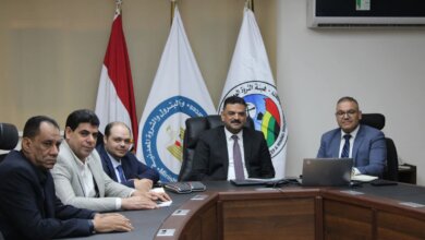 الثروة المعدنية