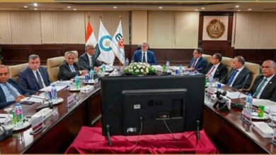 القابضة للبتروكيماويات
