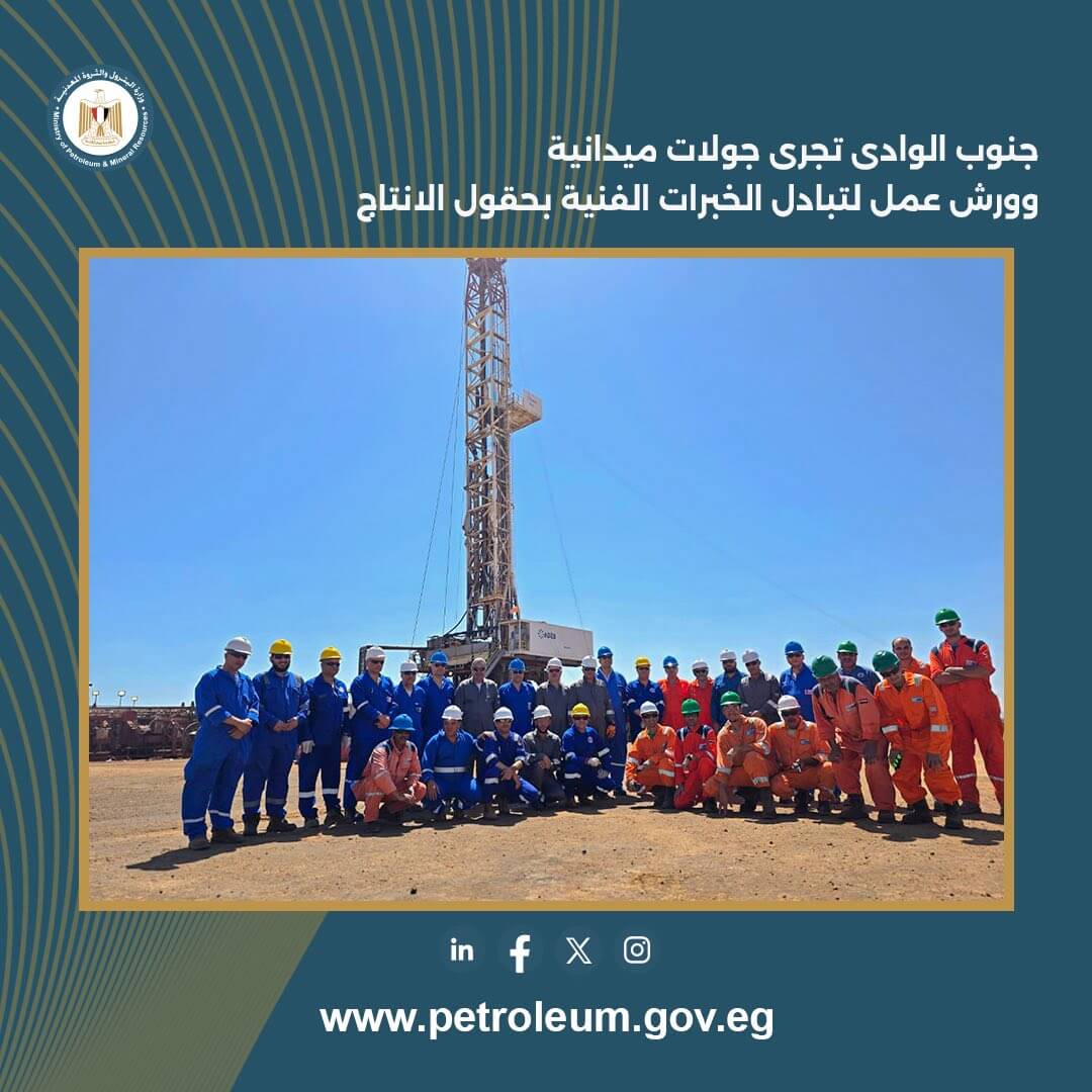 جنوب الوادى القابضة تجرى جولات ميدانية وورش عمل لتبادل الخبرات الفنية بحقول الإنتاج