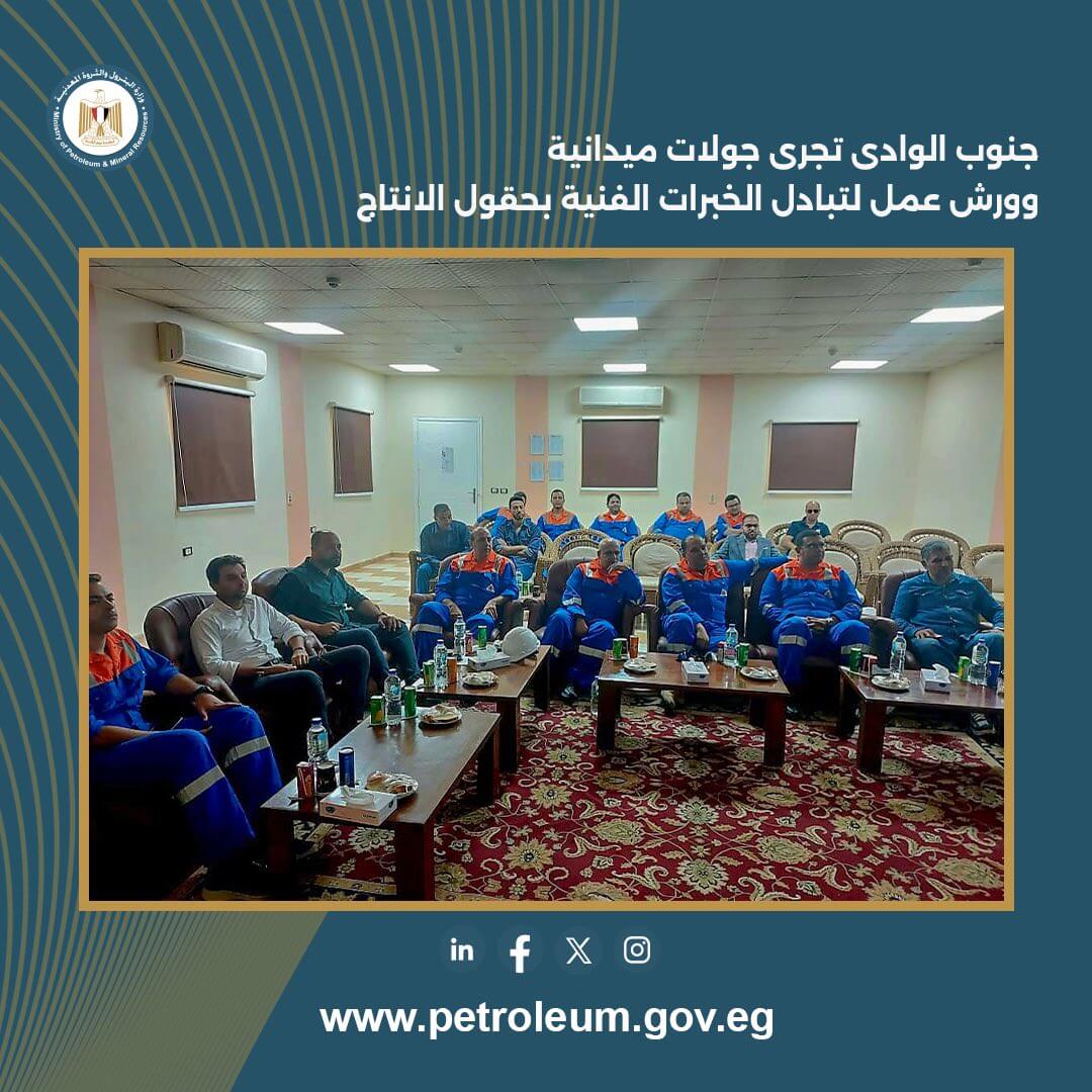 جنوب الوادى القابضة تجرى جولات ميدانية وورش عمل لتبادل الخبرات الفنية بحقول الإنتاج