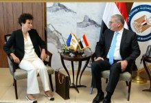 وزير البترول يبحث مع السفيرة القبرصية تعزيز التعاون في قطاع التعدين