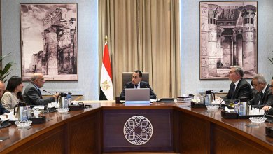 رئيس الوزراء يتابع تنفيذ مشروعات الطاقة المتجددة لتحقيق أهداف مصر في التحول الأخضر