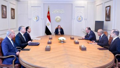 الرئيس السيسي يستقبل الرئيس التنفيذي لشركة أباتشي العالمية