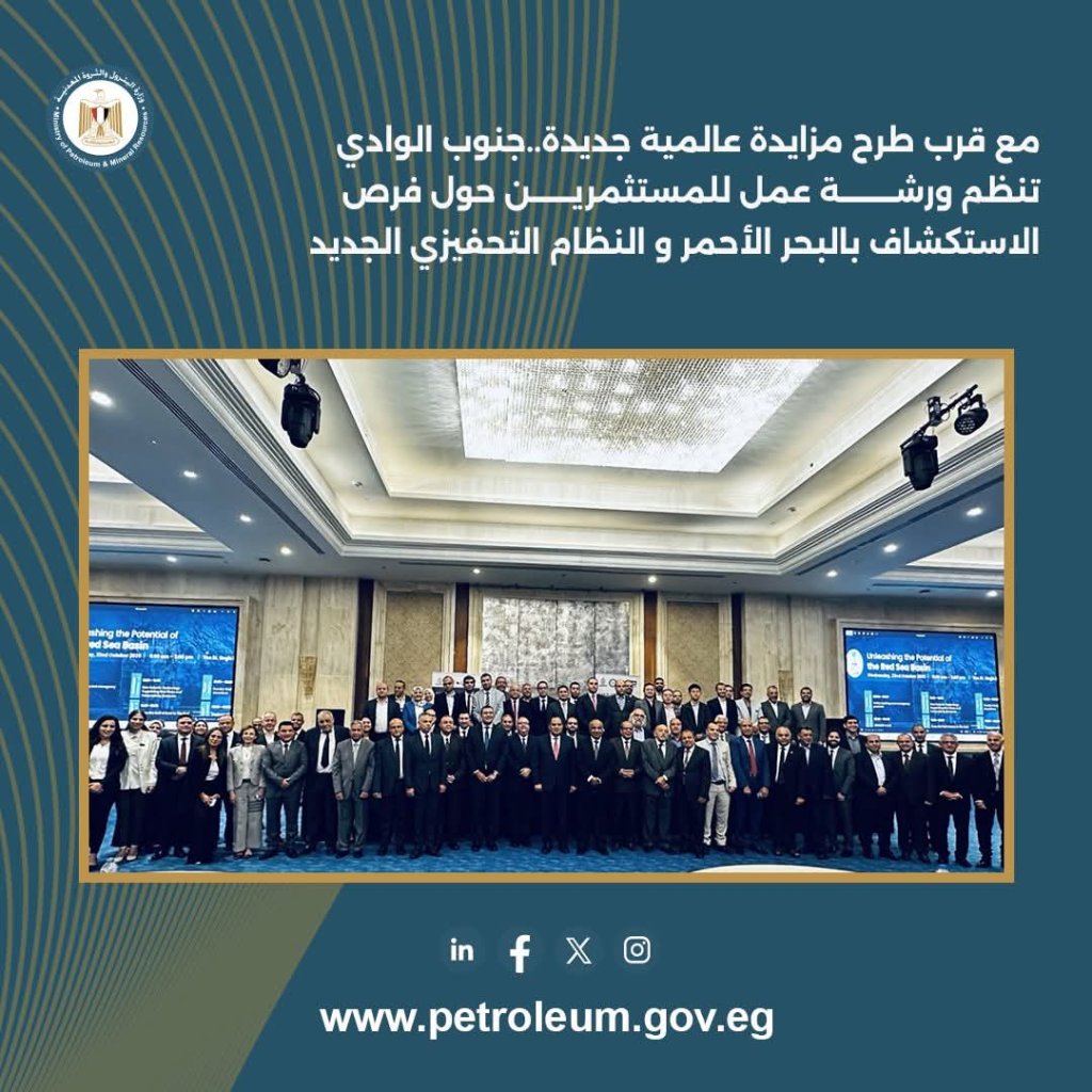 جنوب الوادي