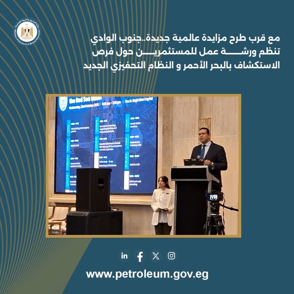 جنوب الوادي