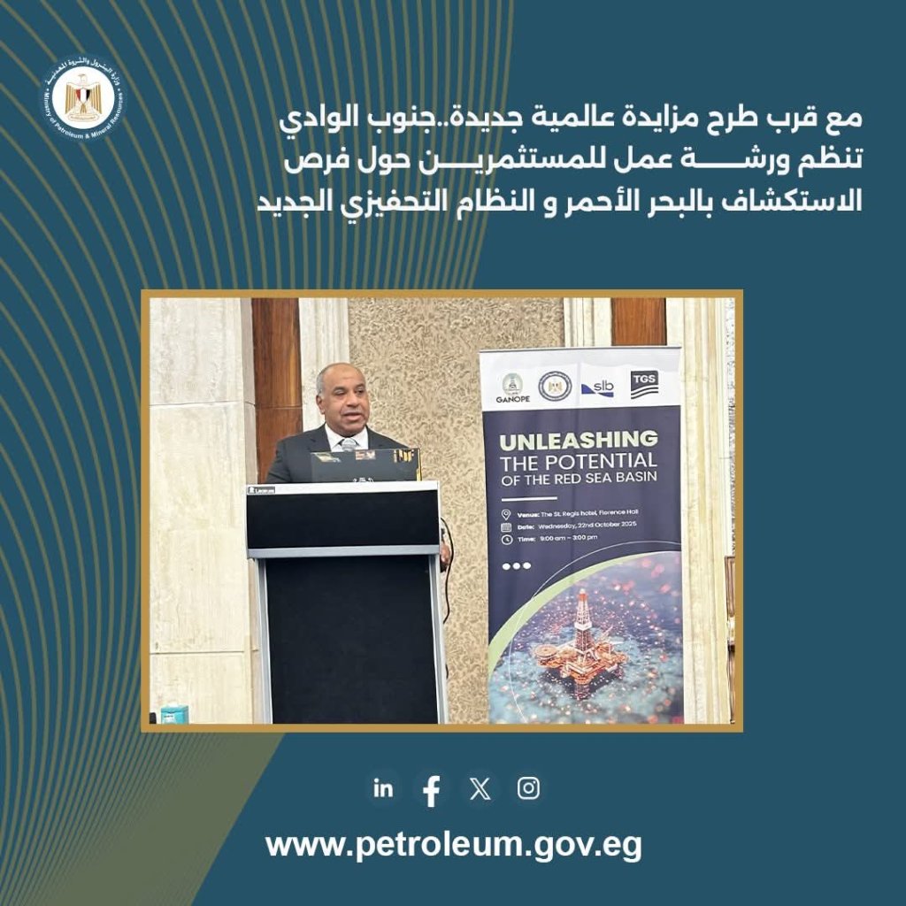 جنوب الوادي