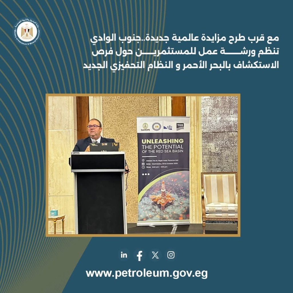 جنوب الوادي