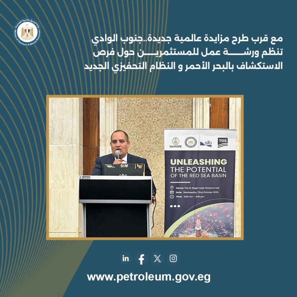 جنوب الوادي