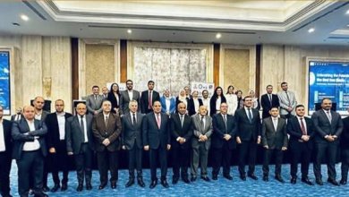 جنوب الوادي