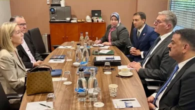 وزير البترول يبحث مع المدير التنفيذي لمنظمة "Austmine" تعزيز التعاون في قطاع التعدين