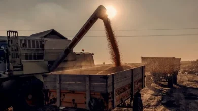 البترول تنشر إنفوجراف يوضح الحوافز الجديدة لجذب الاستثمارات في قطاع التعدين