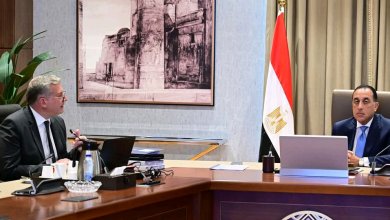 رئيس الوزراء يلتقي وزير البترول