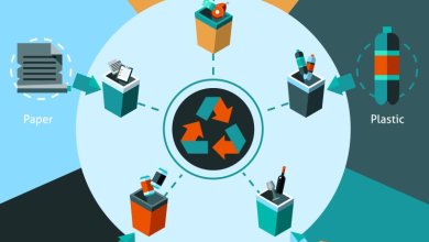 استخدامات البولي إيثيلين: 7 مجالات تُعزز دورة في الصناعات الحديثة