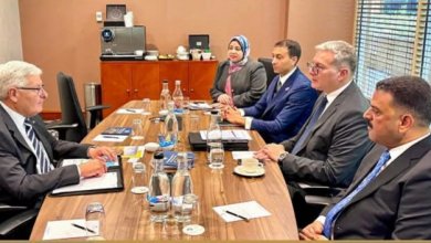 المعادن النادرة