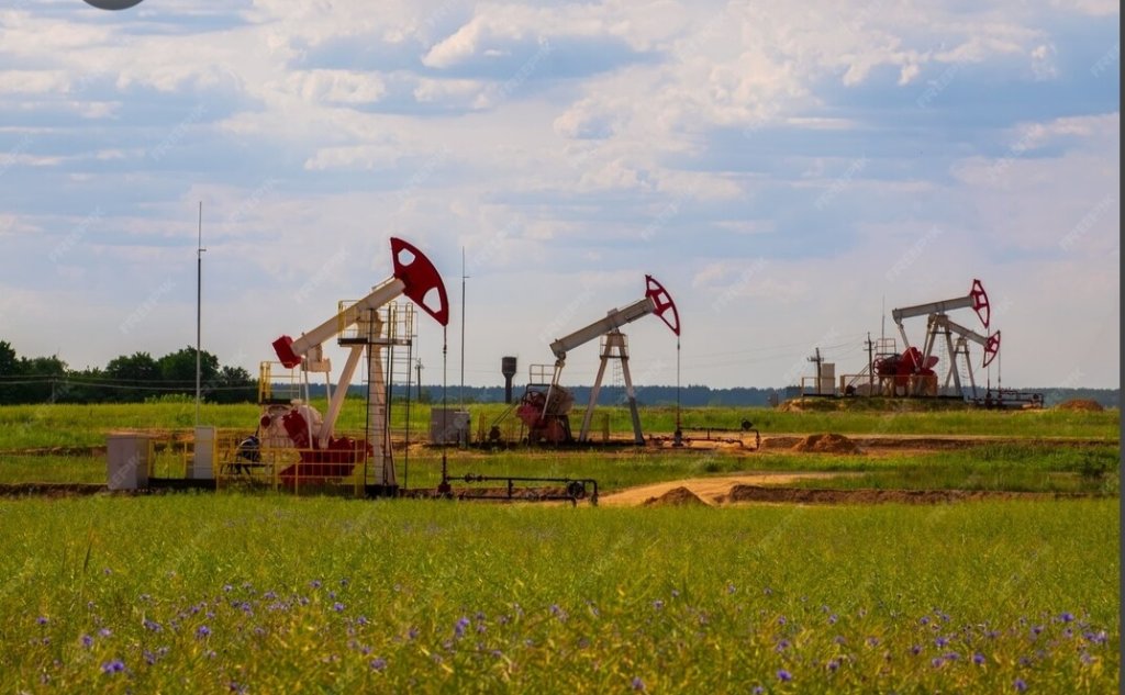 حقول النفط البرية 