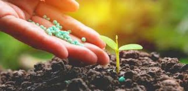 تحويل الأمونيا إلى هيدروجين