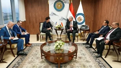 وزير البترول يلتقي سفيرة قبرص بالقاهرة لبحث تعزيز التعاون في قطاع الطاقة