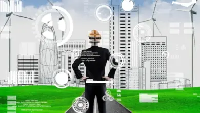 وزارة البترول تعلن حصاد عام 2025 في الطاقة المتجددة