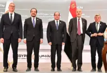 وزارة البترول تعلن حصاد إنجازات 2025 في تداول الطاقة وتعزيز التعاون الإقليمي