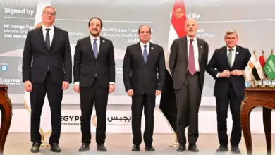 وزارة البترول تعلن حصاد إنجازات 2025 في تداول الطاقة وتعزيز التعاون الإقليمي