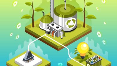 الأمونيا الخضراء